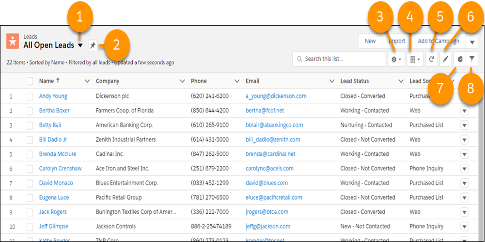 Salesforce List Views.png